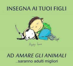 adozioni responsabili reggio emilia